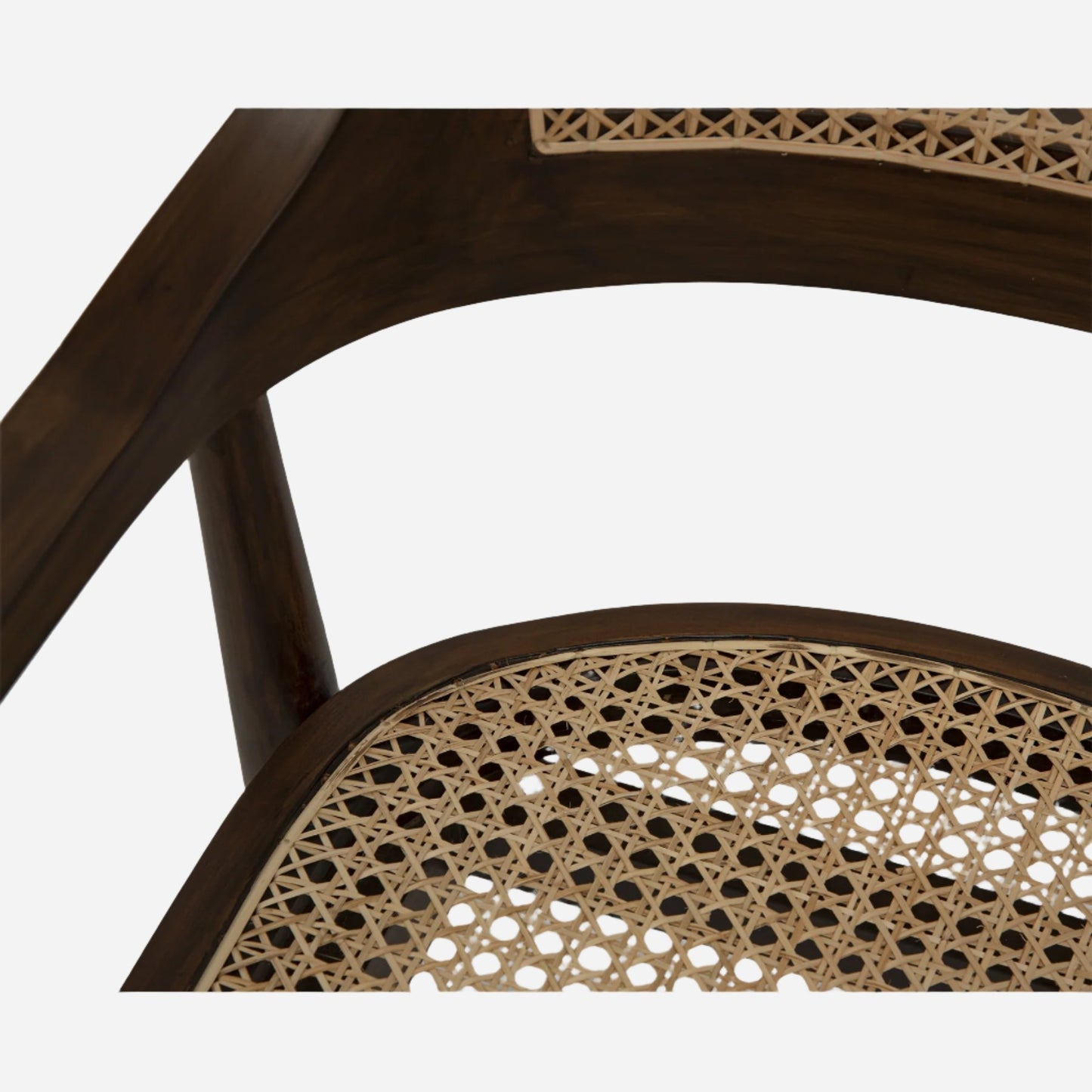 Ansel Dining Chair